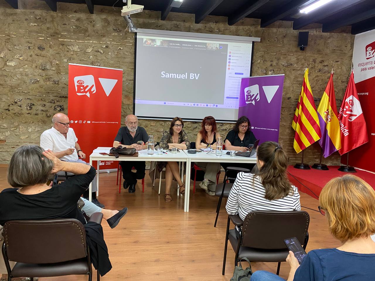Consell polític d'EUPV