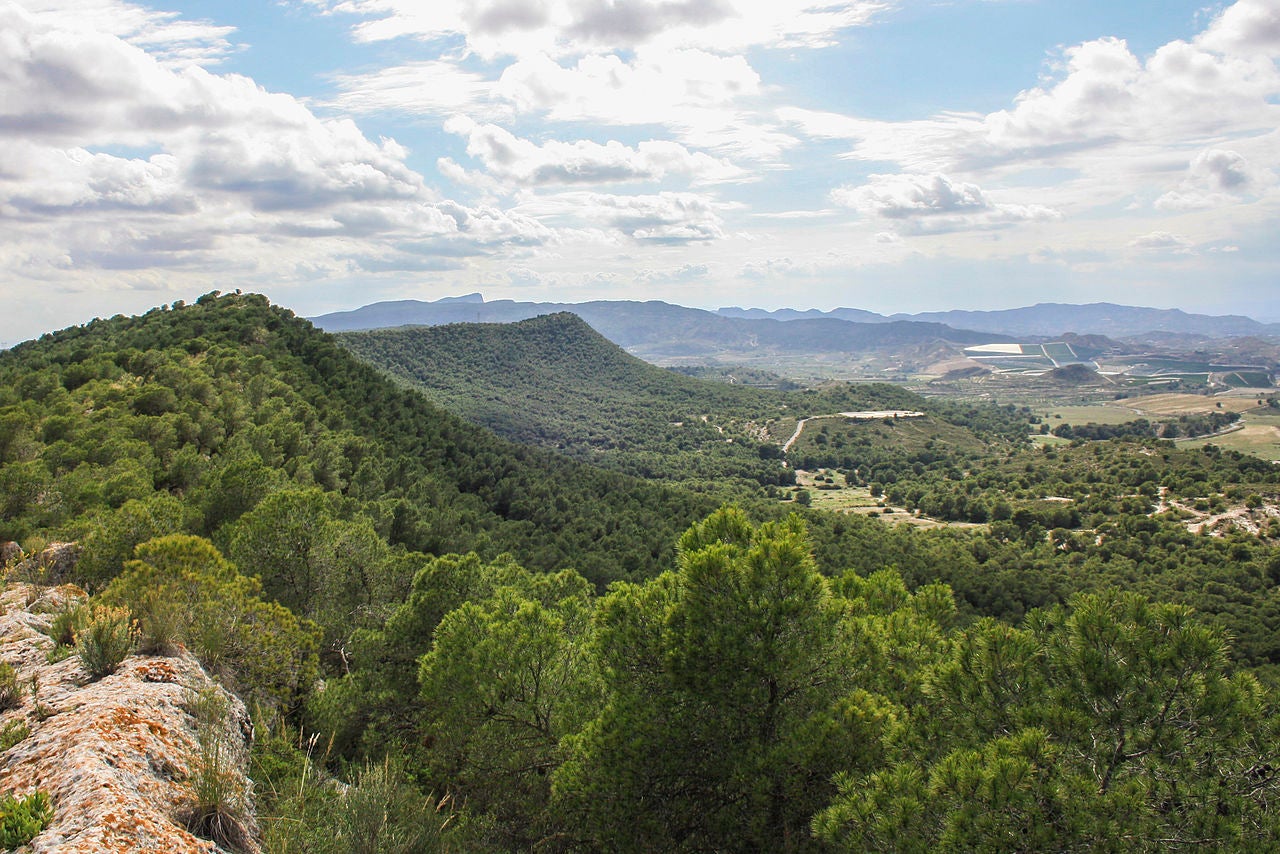 Serra Escalona