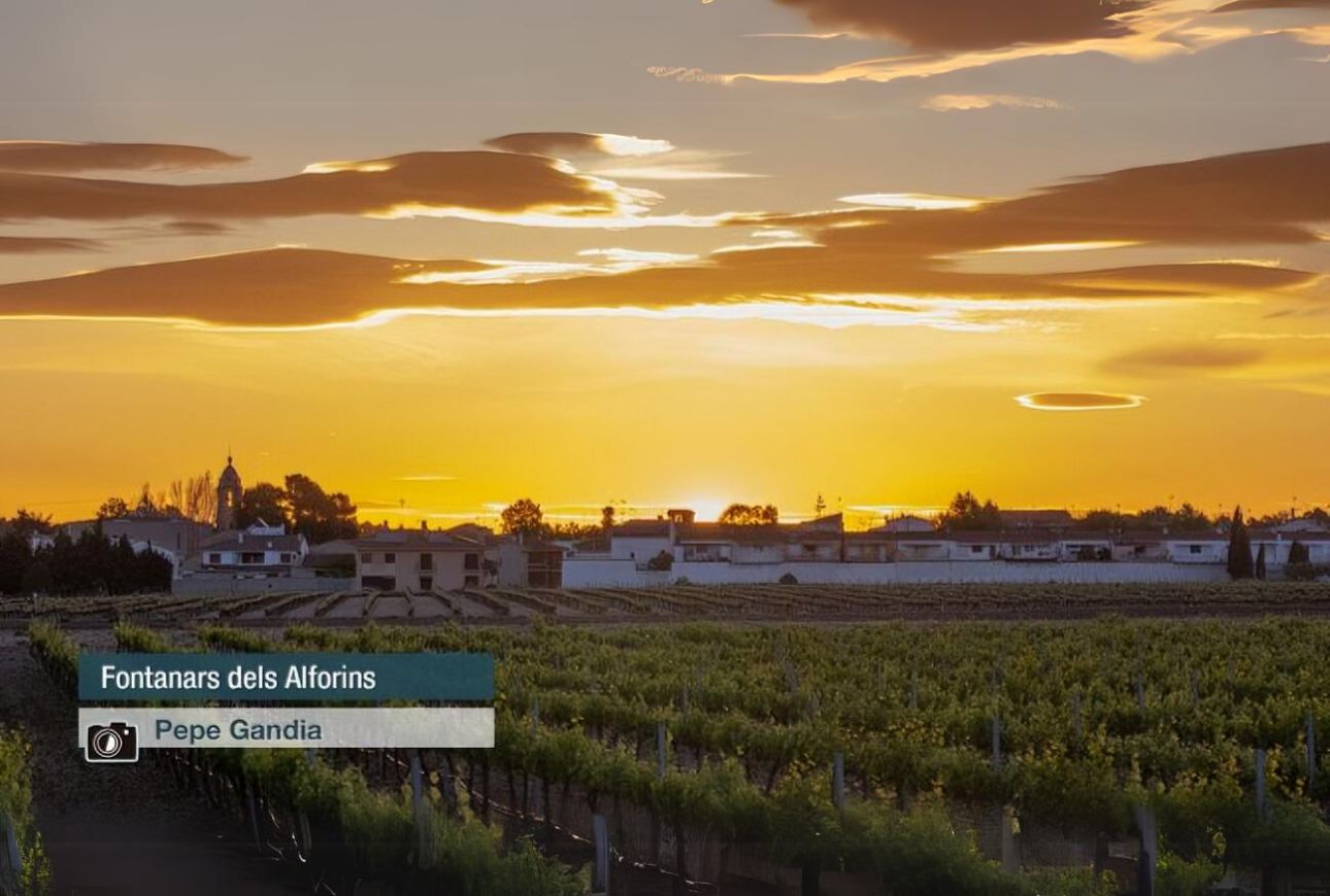 Fontanars dels Alforins - Pepe Gandia