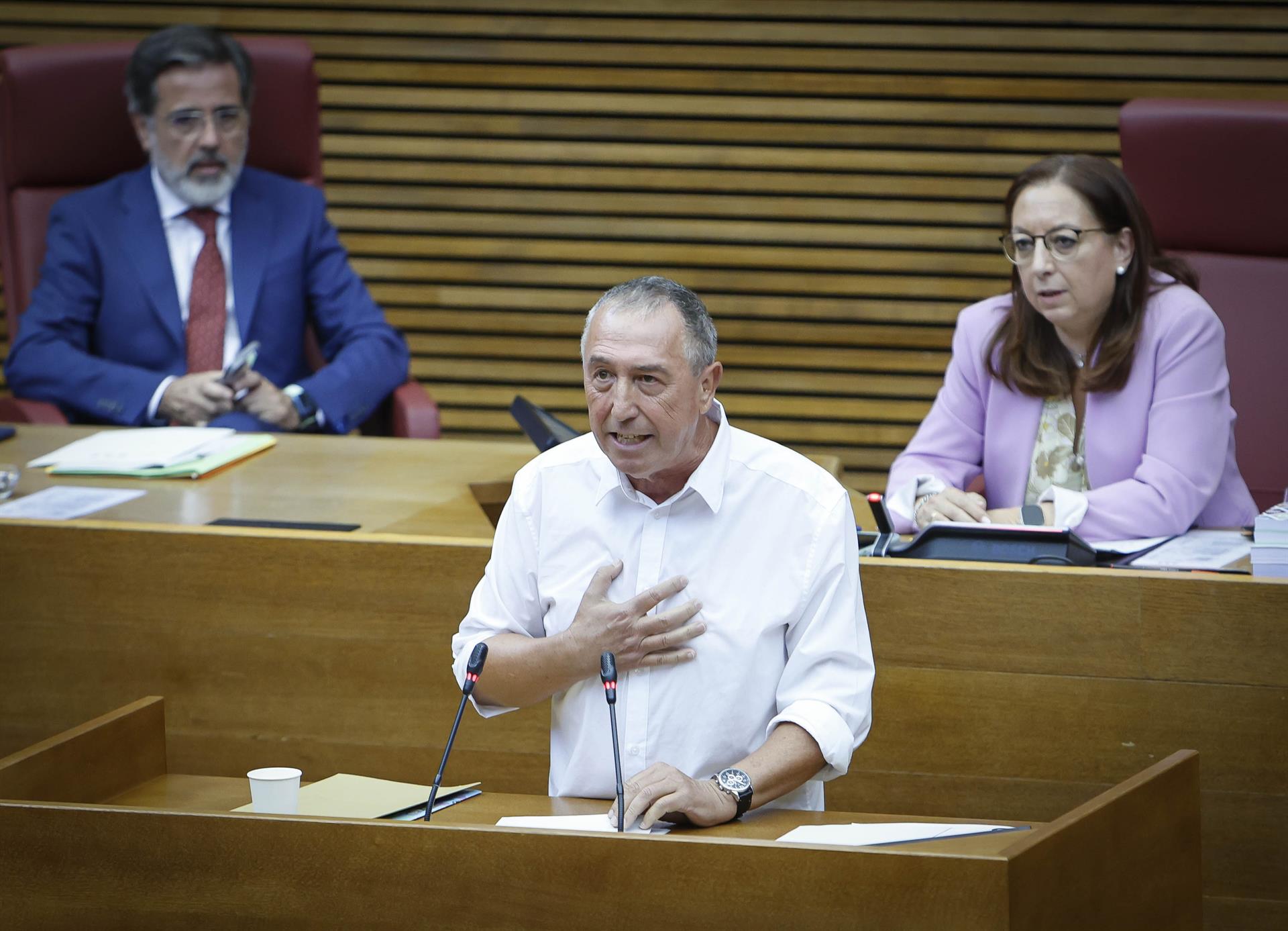 El síndic de Compromís, Joan Baldoví | Europa Press