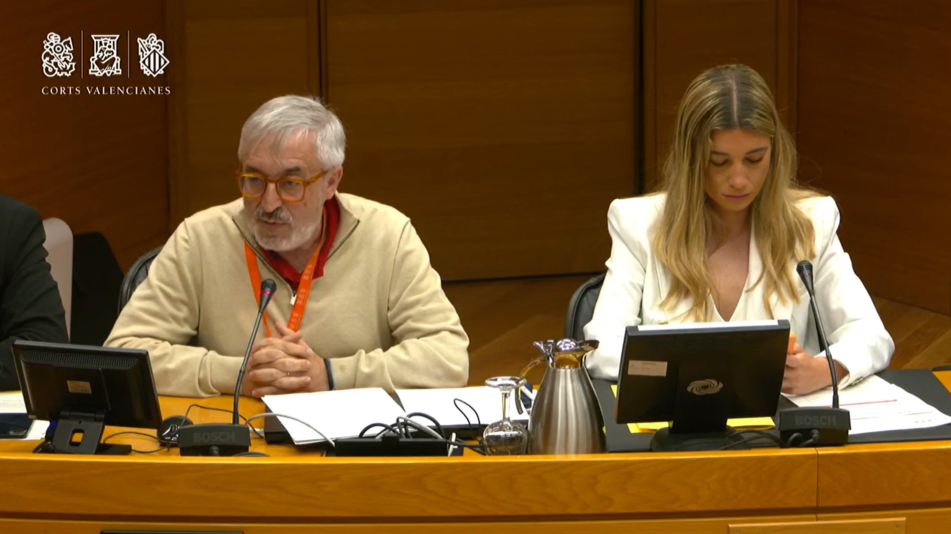 El catedràtic Joaquim Dolz intervé a Les Corts