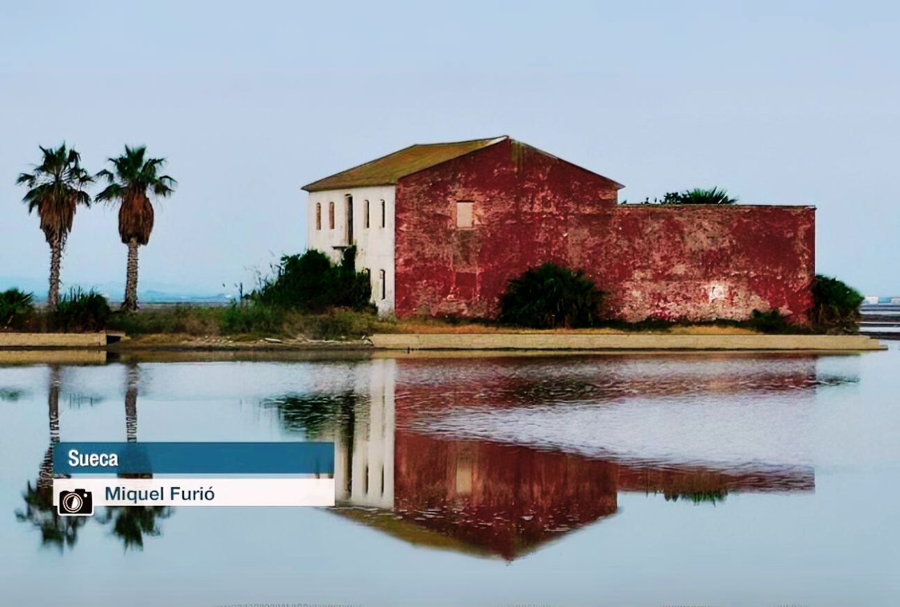 Sueca - Miquel Furio