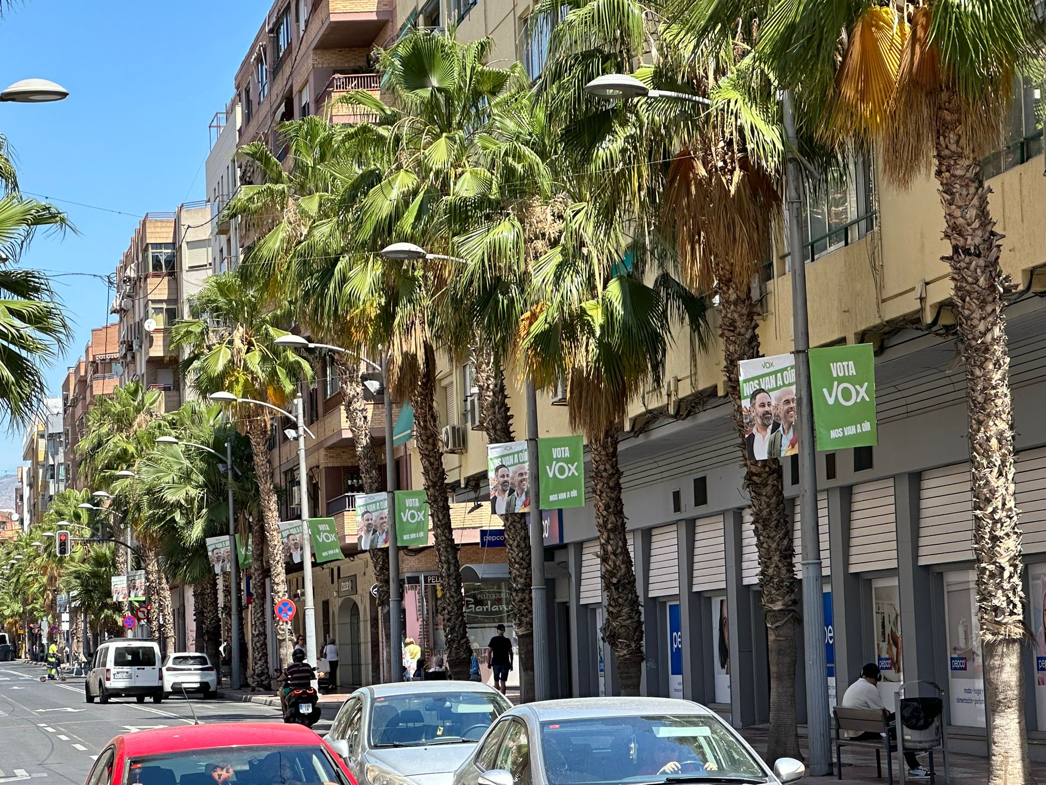 Banderoles de Vox en una avinguda de Sante Vicent del Raspeig (l'Alacantí) / PSPV-PSOE Sant Vicent