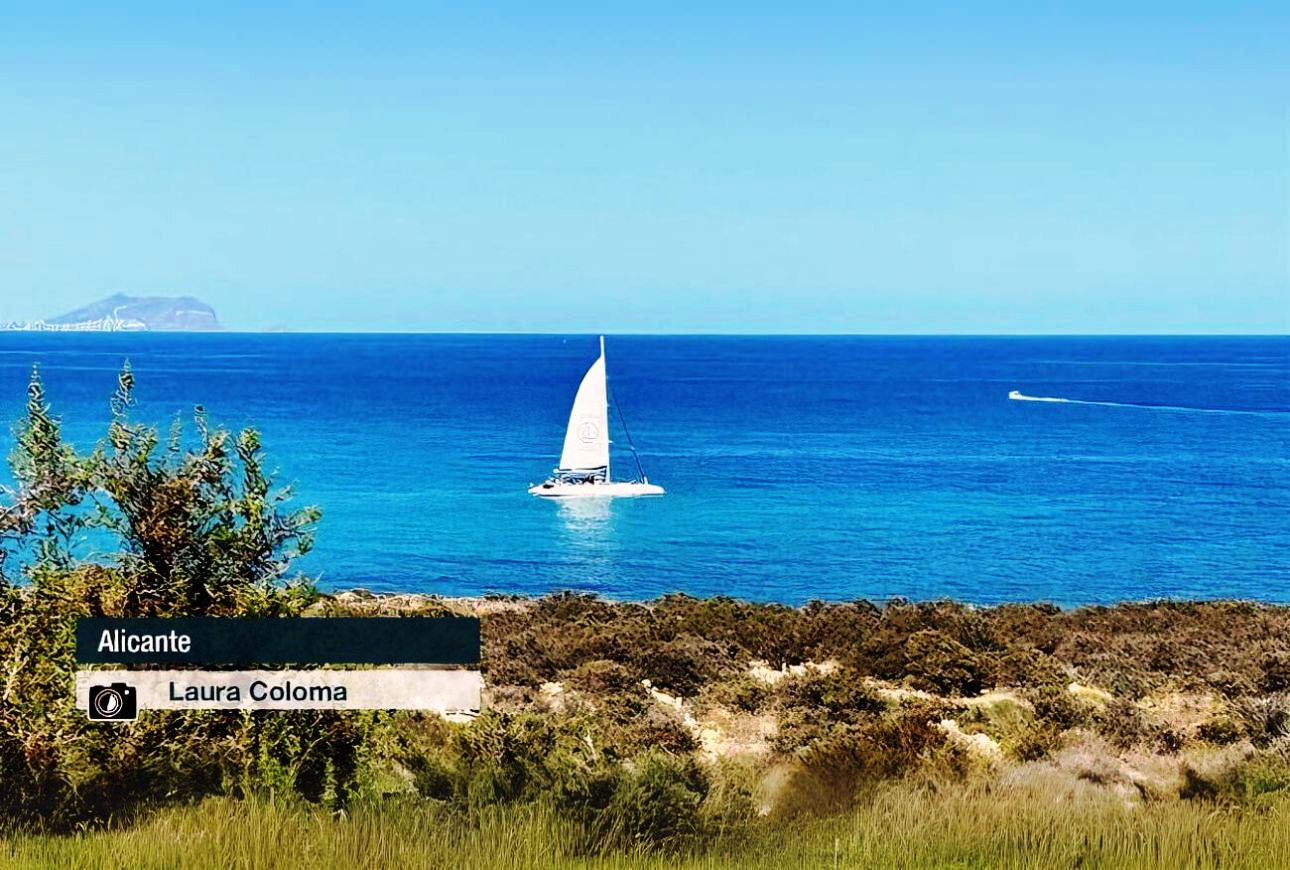 Alacant - Laura Coloma