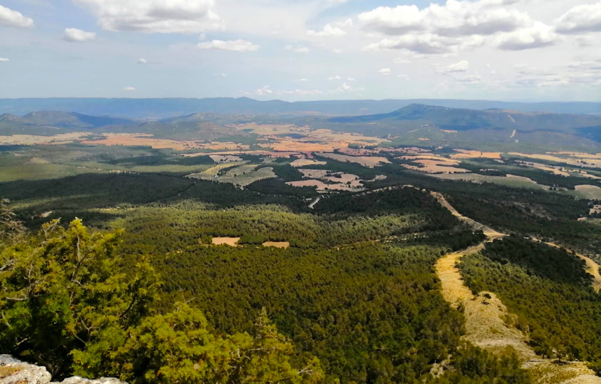 Vista des del pic Palomera cap a l'est | ANAV