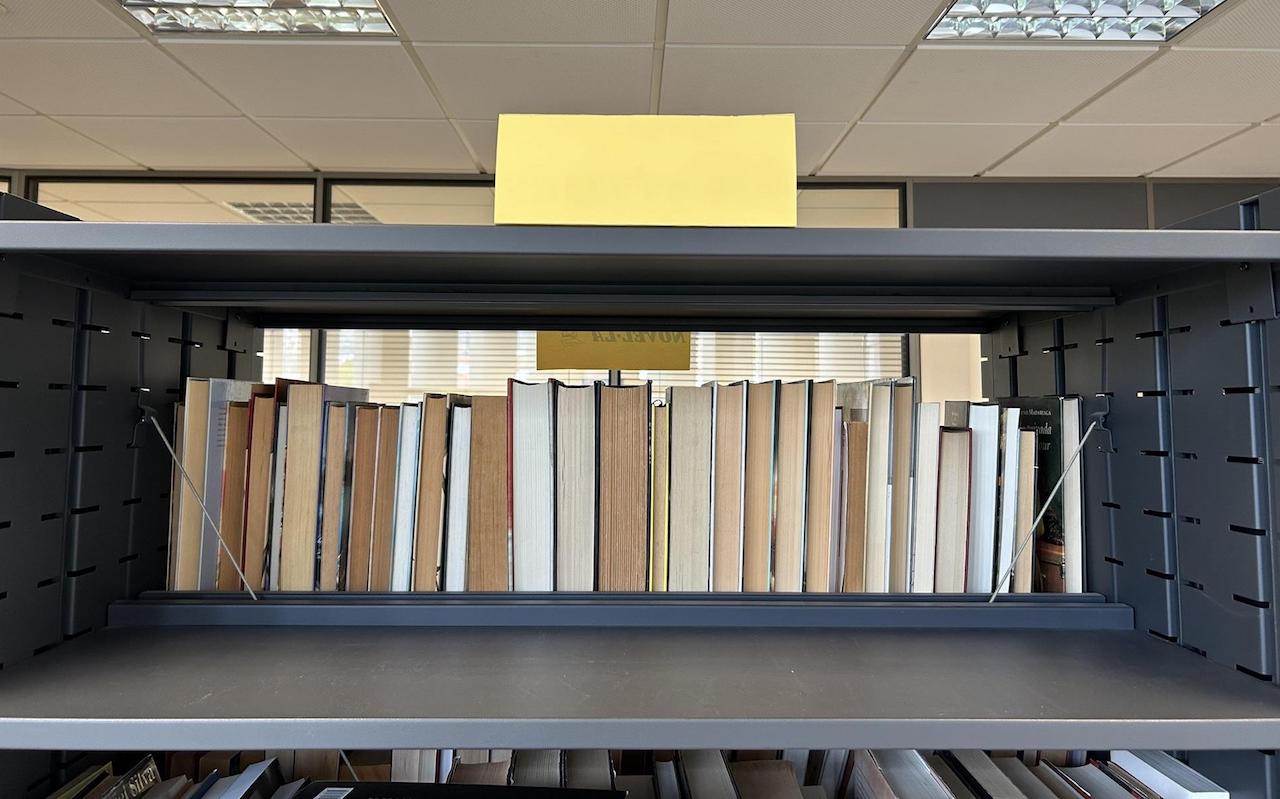 Imatge actual de la secció LGTBI+ de la Biblioteca de Torreblanca | EP