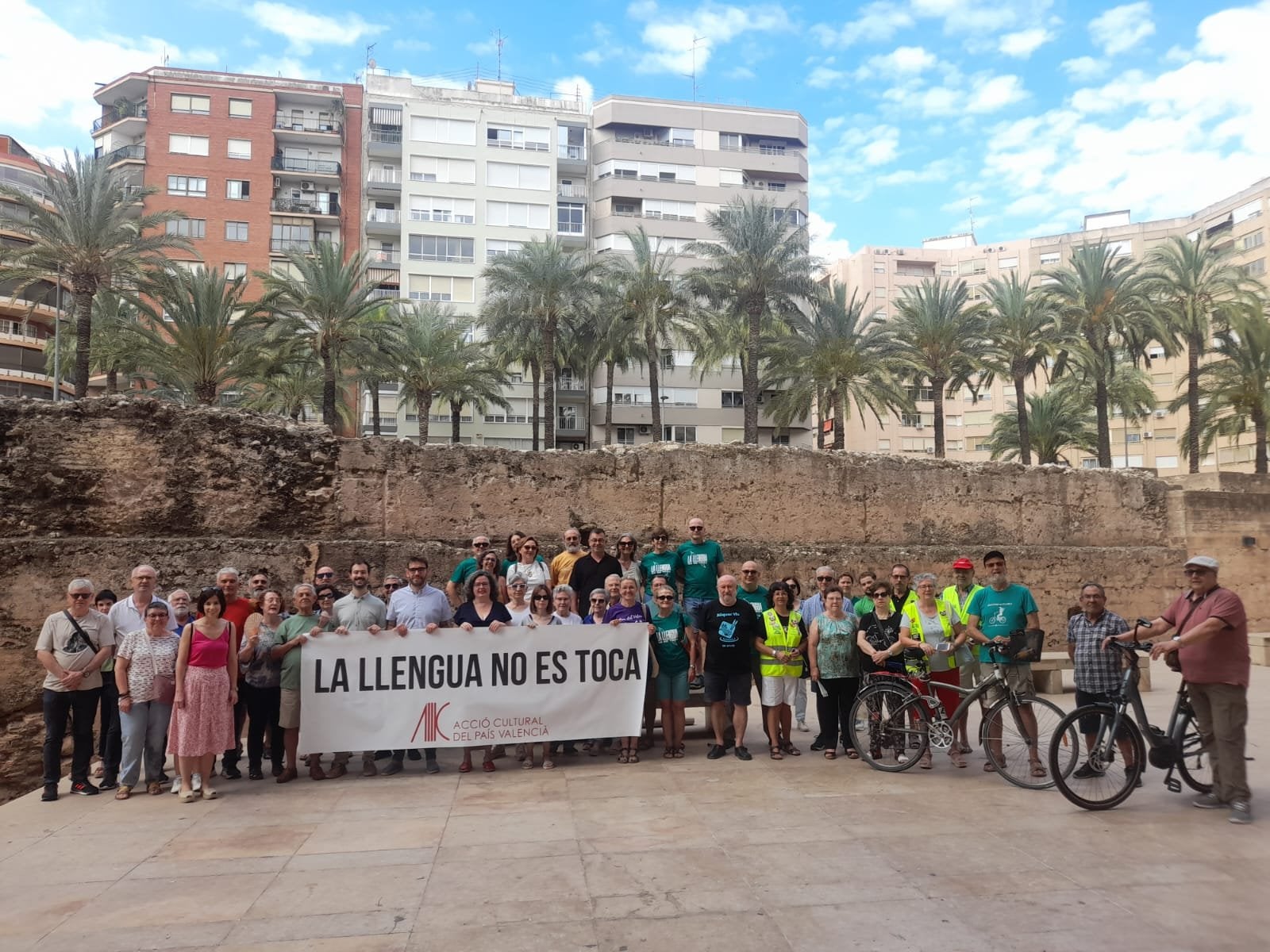 Concentració d'Acció Cultural a Alzira (Ribera Alta)