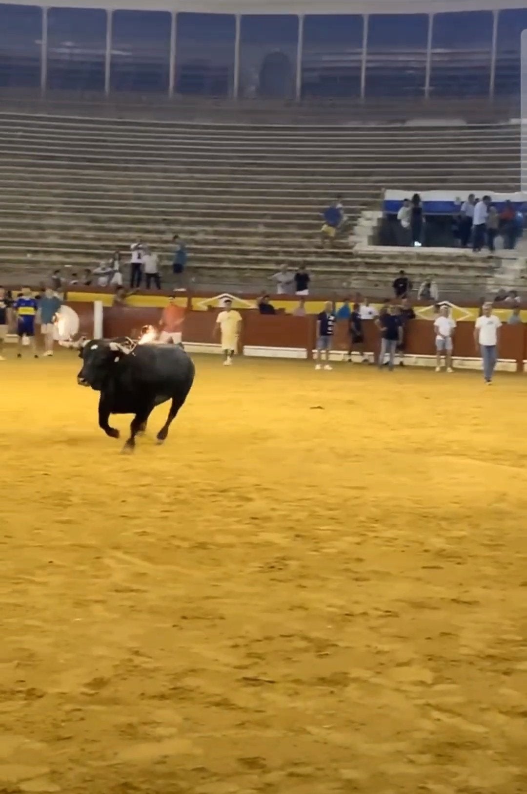 Bou embolat a Alacant / Rafa Mas (@Ra_Mas)