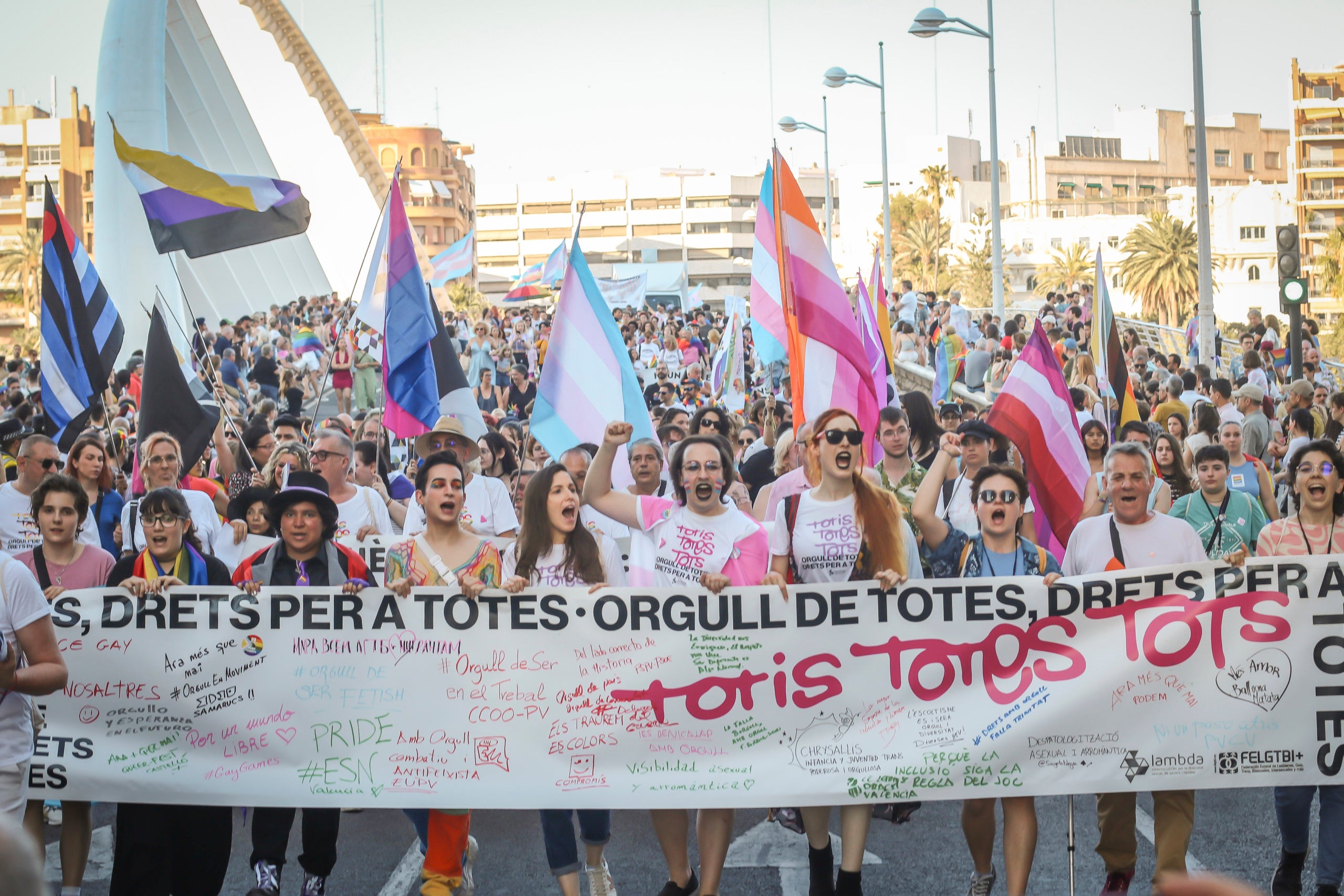 Manifestació de l'Orgull LGTBI+ 2023 a València | Maria Díez