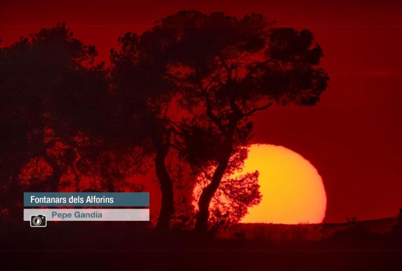 Fontanars dels Alforins - Pepe Gandia