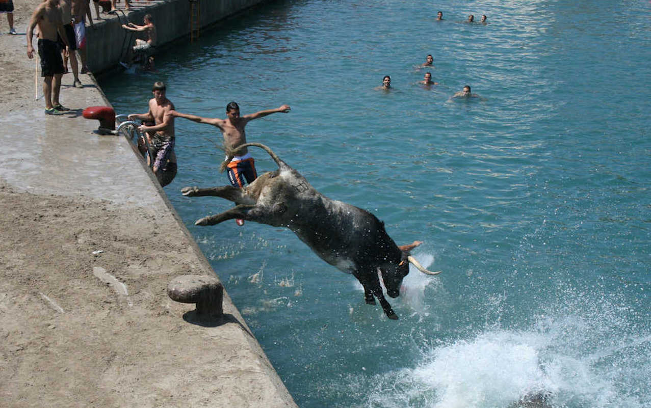 Bous a la mar a Dénia