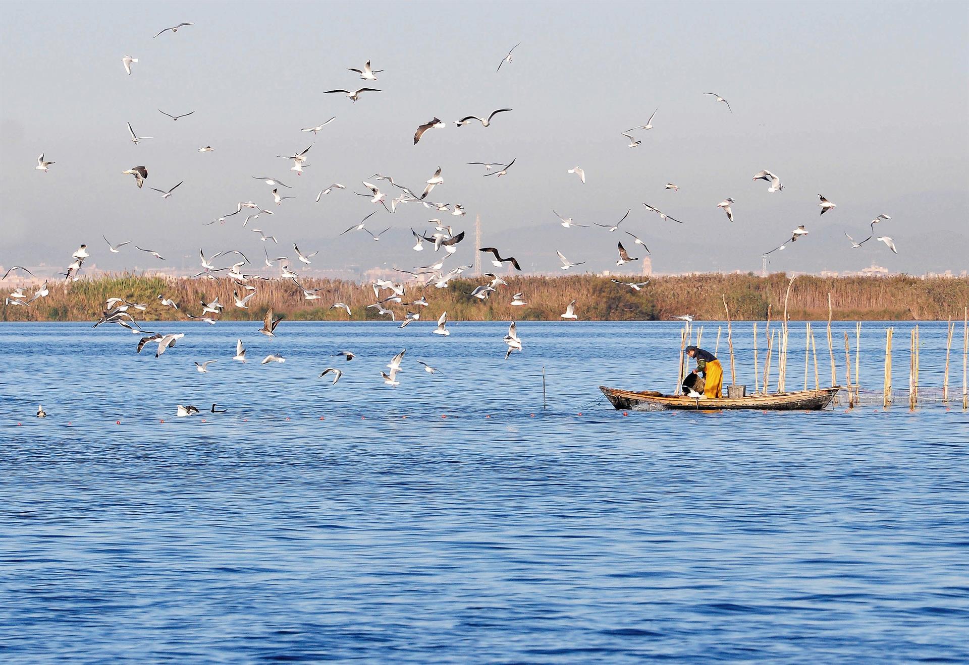 La proximitat amb l'Albufera genera dubtes sobre la idoneïtat d'ubicar-hi un centre de dades amb alt consum d'aigua