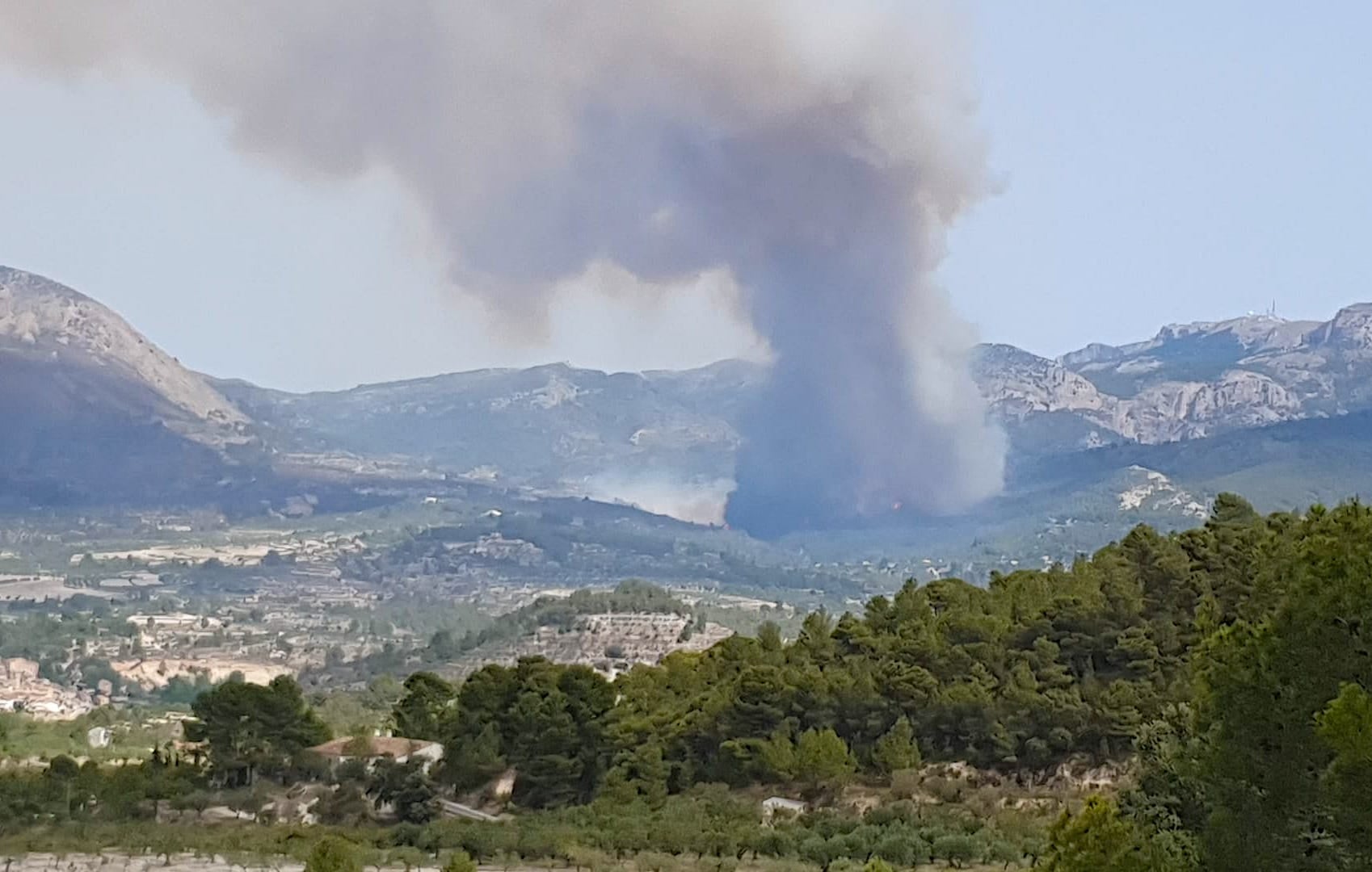 Incendi forestal a Benassau, el 2024 | Servei Bombers Forestals GVA