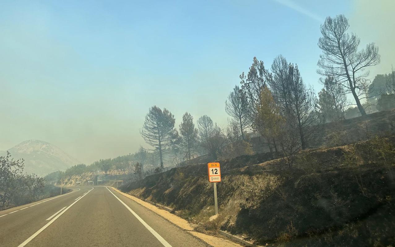 Àrea afectada per l'incendi forestal de Benasau 