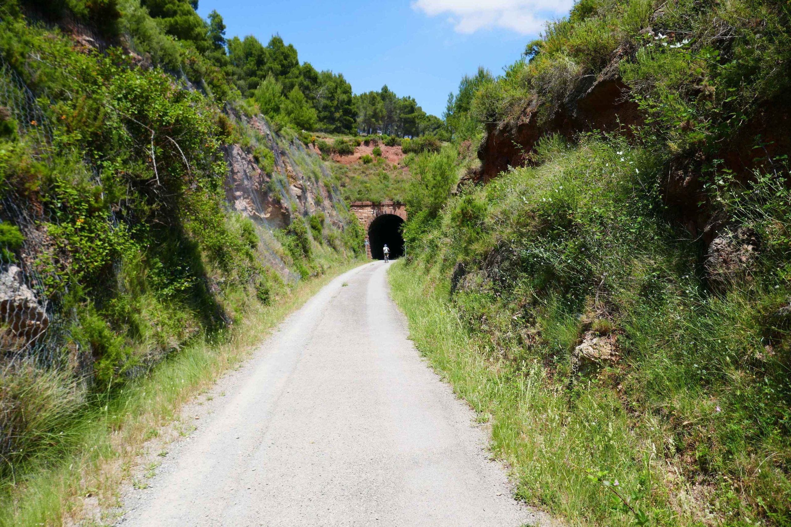 Via Verda d'Ojos Negros | Càtedra Demetri Ribes