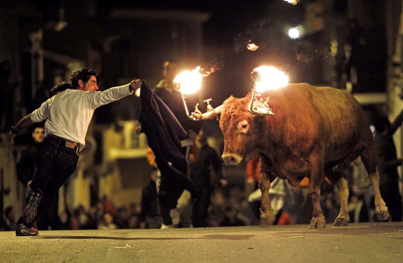 Bou embolat / Plataforma Antitaurina d'Alfafar