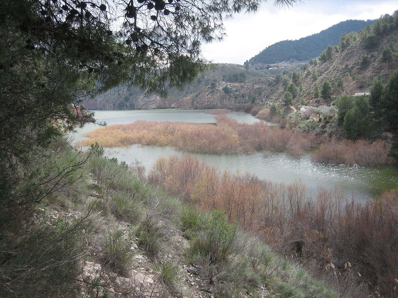 Cua de l'embassament de Tibi