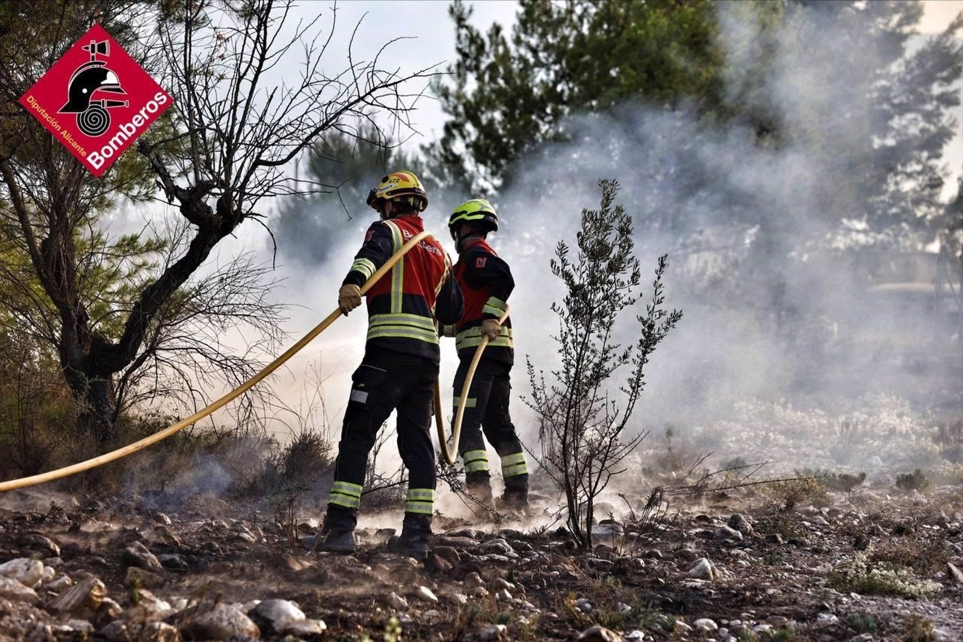 Bombers treballen en l'extinció de l'incendi forestal de Benasau