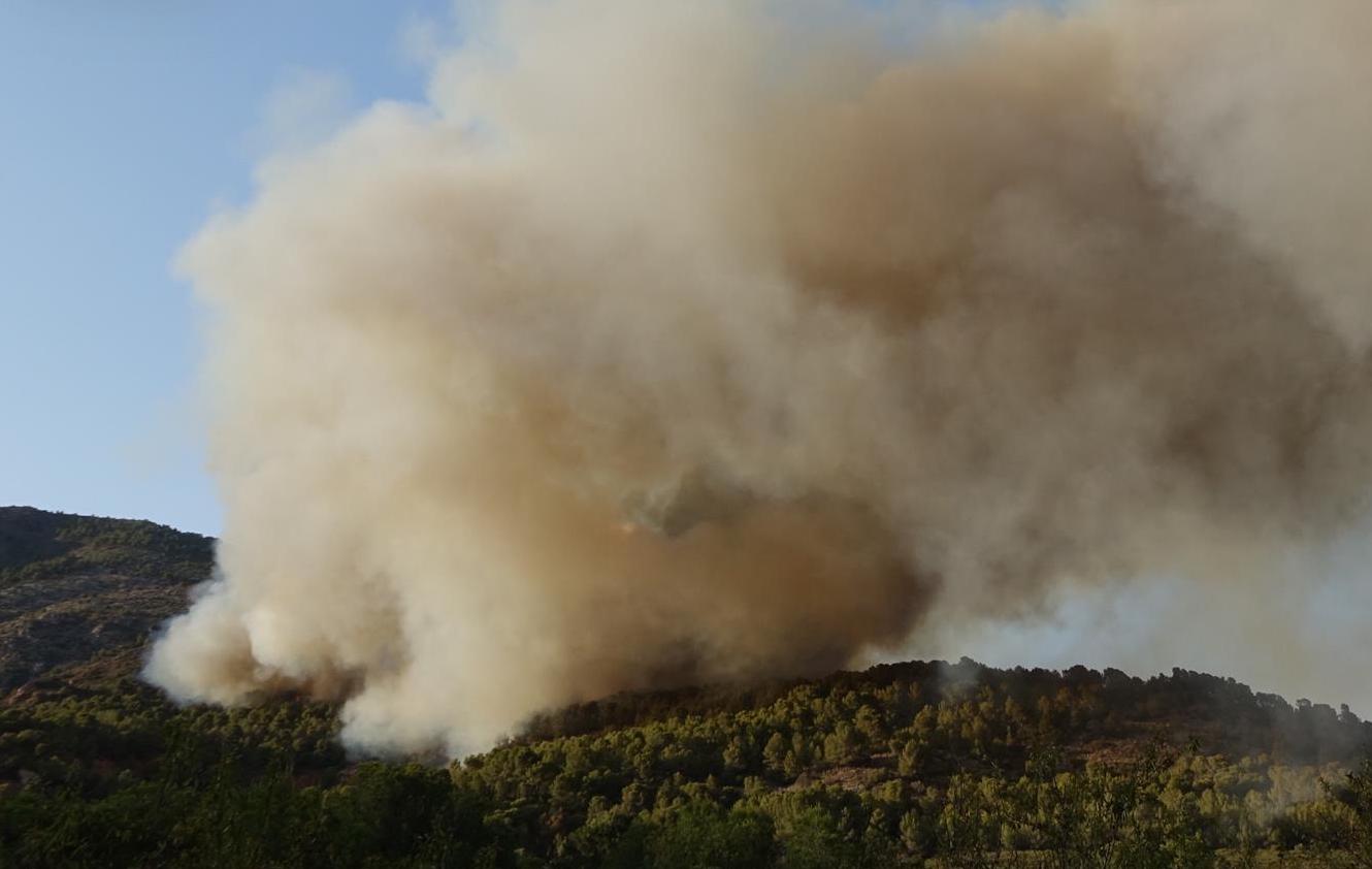 Incendi forestal a Benicàssim | EP | Diputació de Castelló