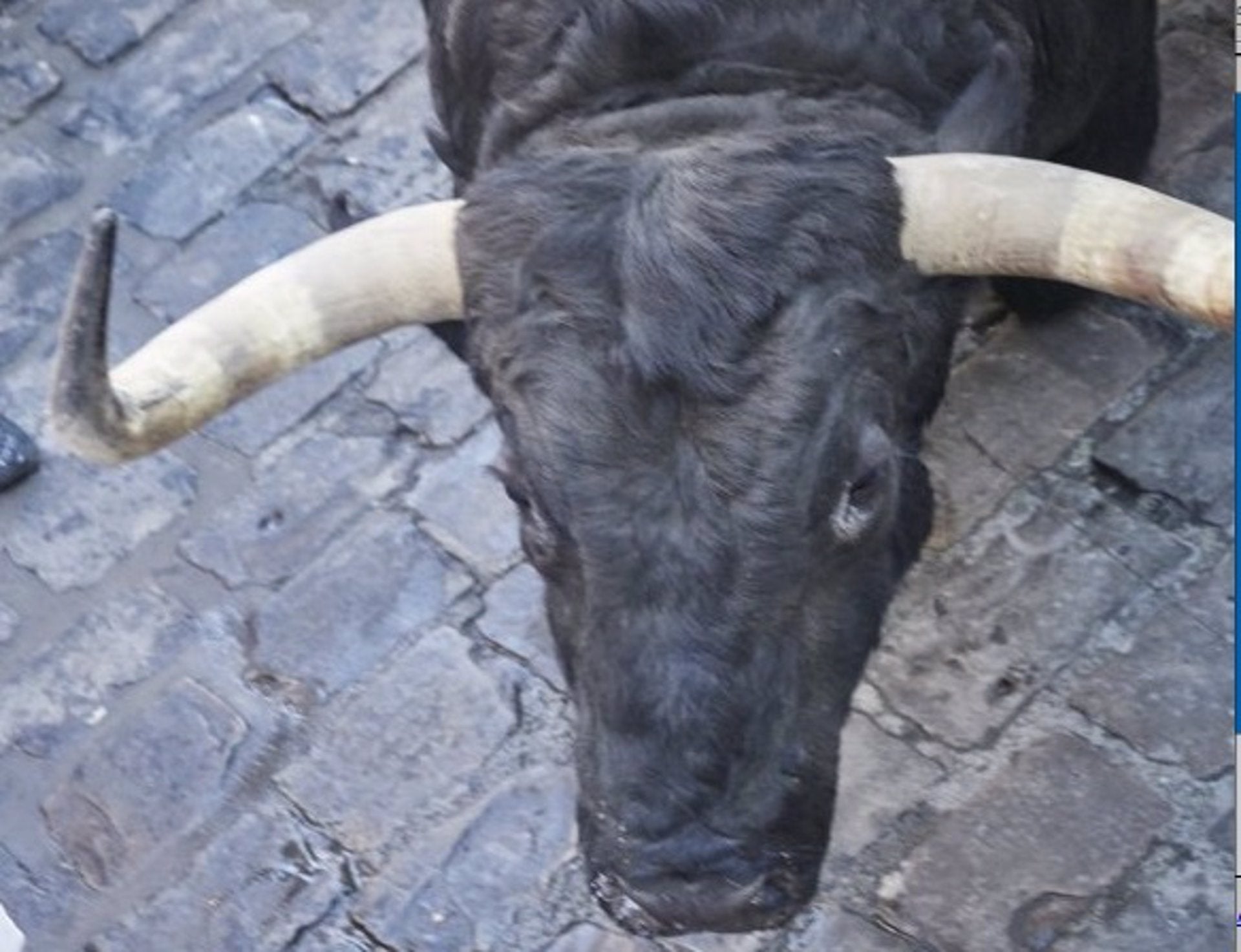 Bou | Eduardo Sanz | EP