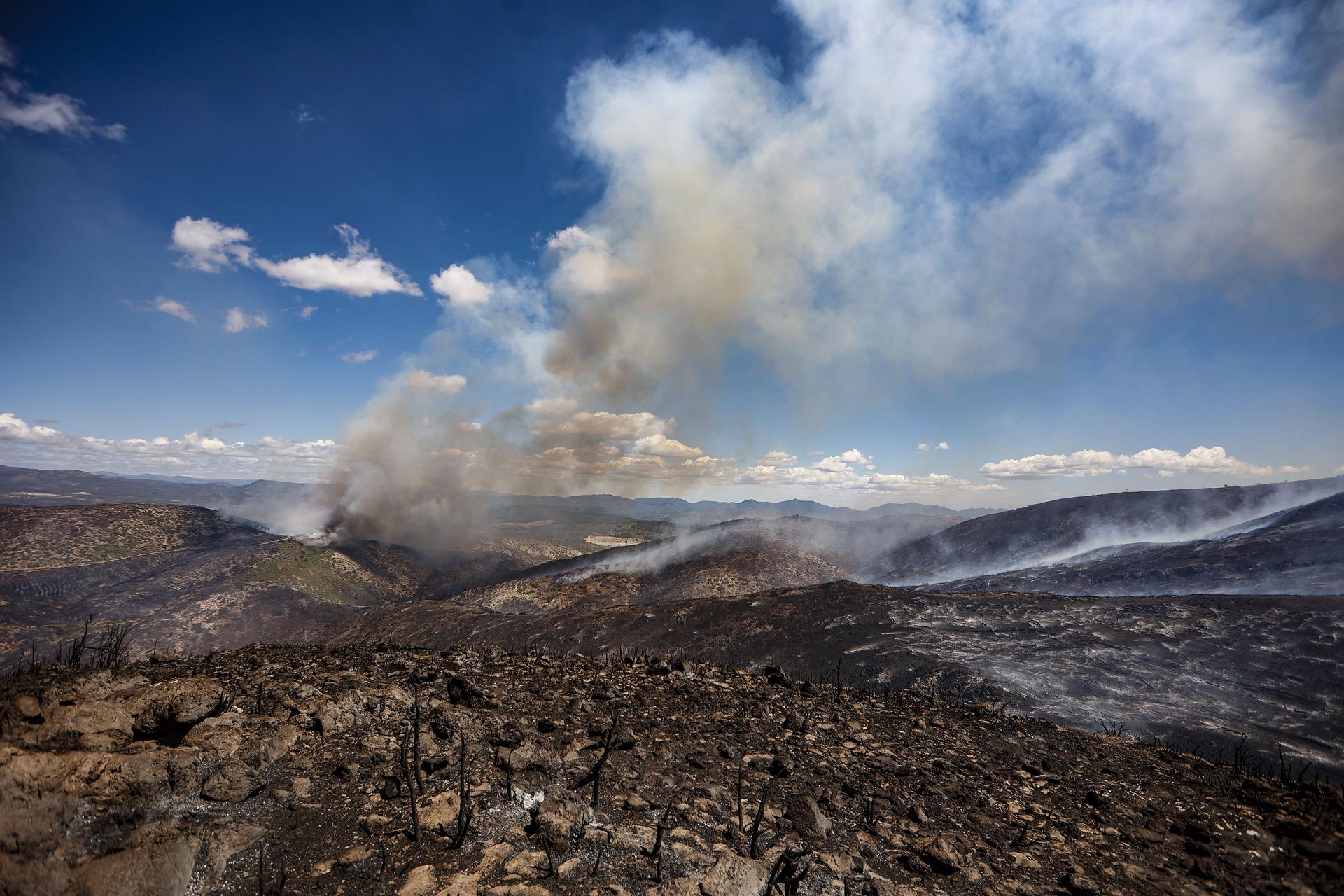 Àrea afectada per l'incendi de Begís el 2022 | Rober Solsona | EP