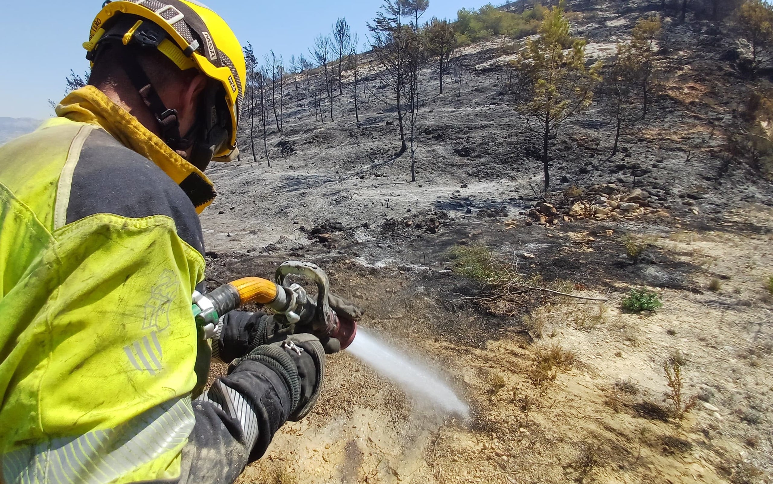 Treballs d'extinció de l'incendi forestal de Benasau | Servei de Bombers Forestals GVA
