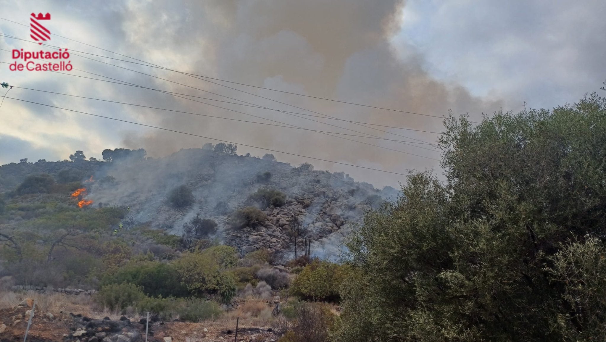 Incendi forestal a Benicàssim (Plana Alta) / Bombers de la Diputació de Castelló