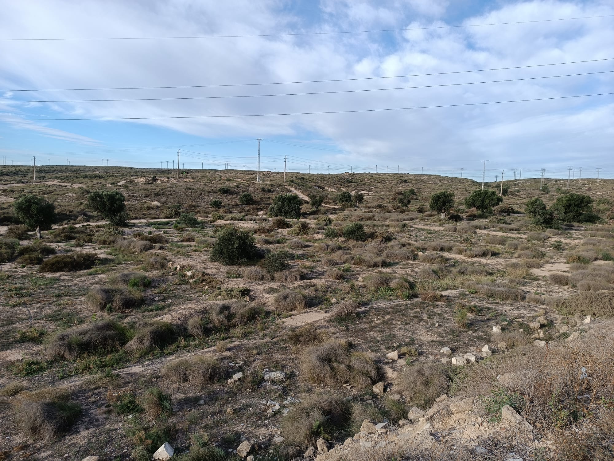 Serra del Porquet d'Alacant