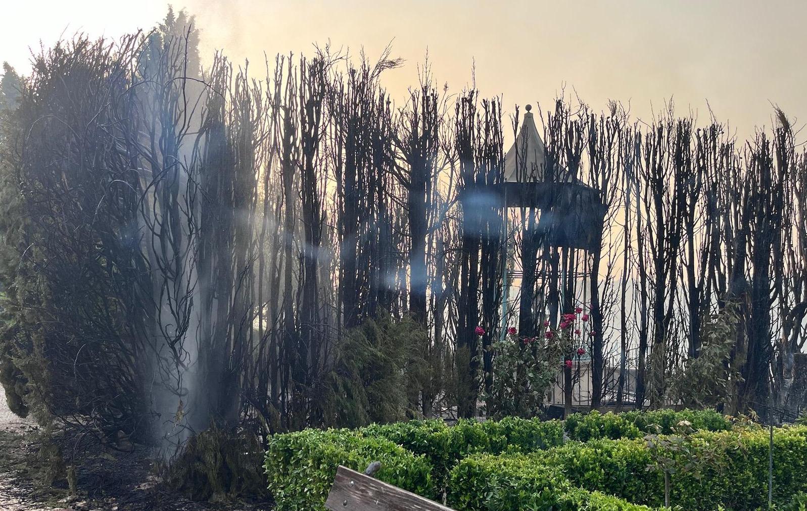 El Jardí de Santos de Penàguila, afectat per l'incendi forestal de Benasau, el 2024 | Ara Multimèdia