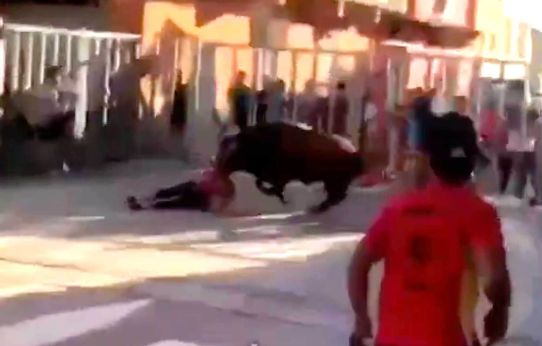 Un bou enganxa un jove a Xilxes