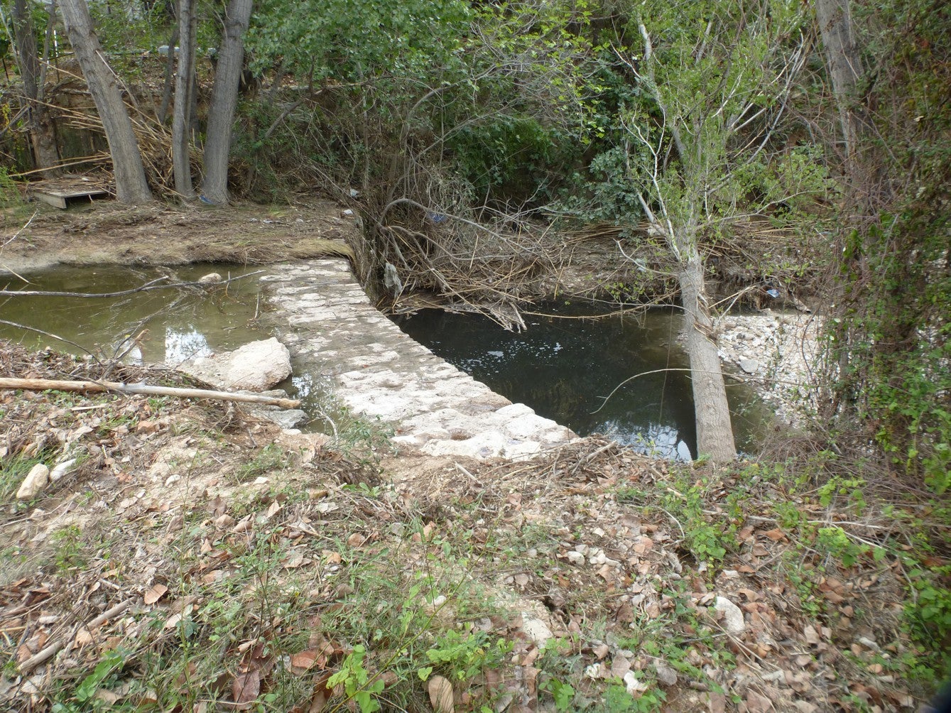 Riu Riquer, a Alcoi, amb aigua fosca / Colla Ecologista la Carrasca