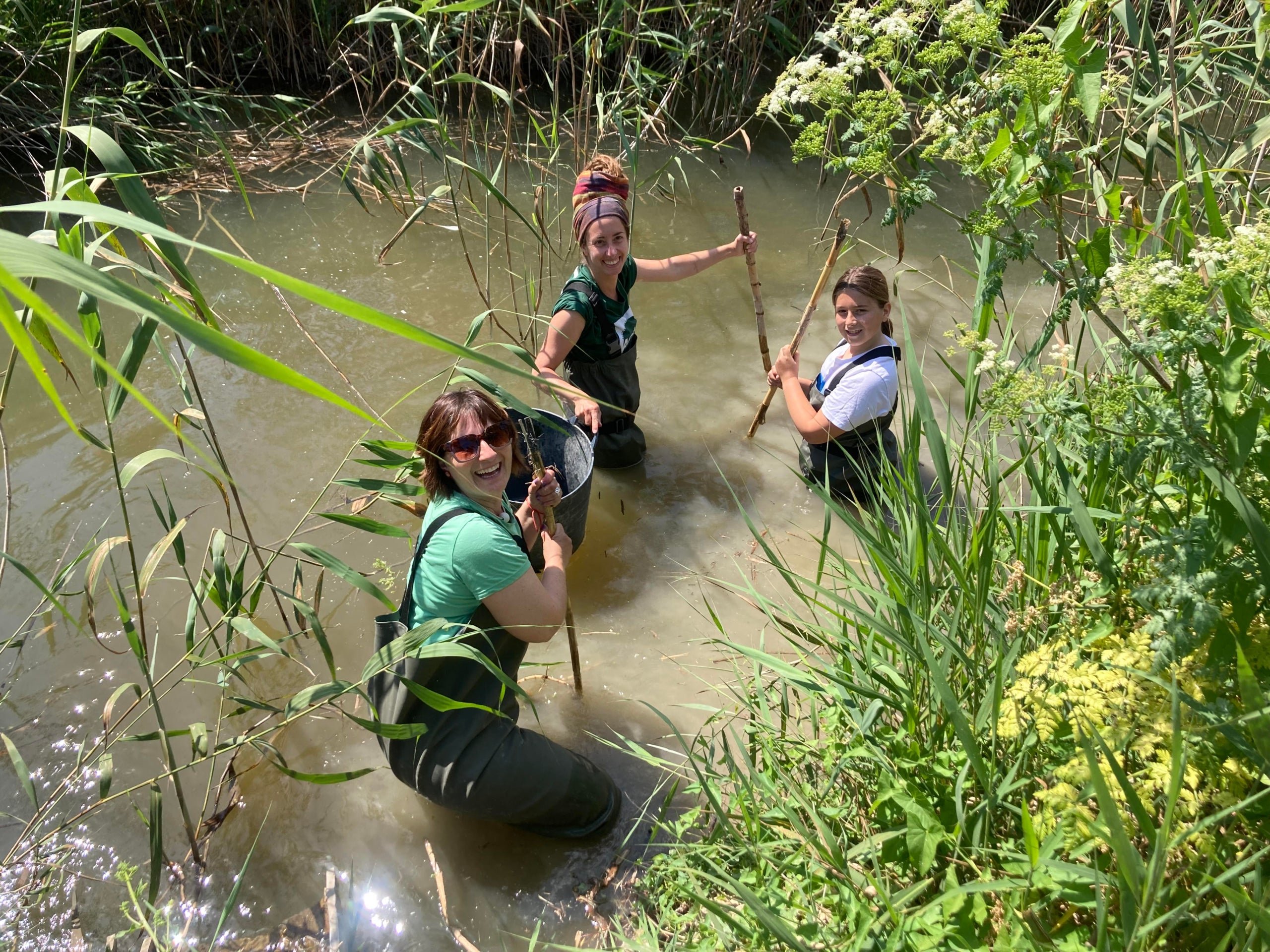 Activitat d'AE-Agró al Tancat de la Pipa, a l'Albufera