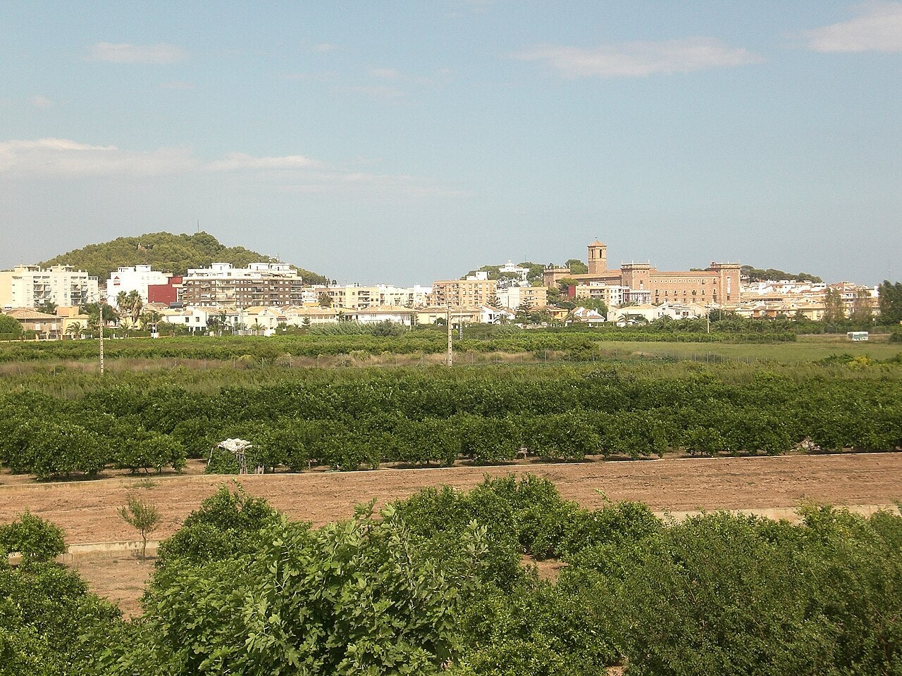 Vista del Puig (Horta Nord)