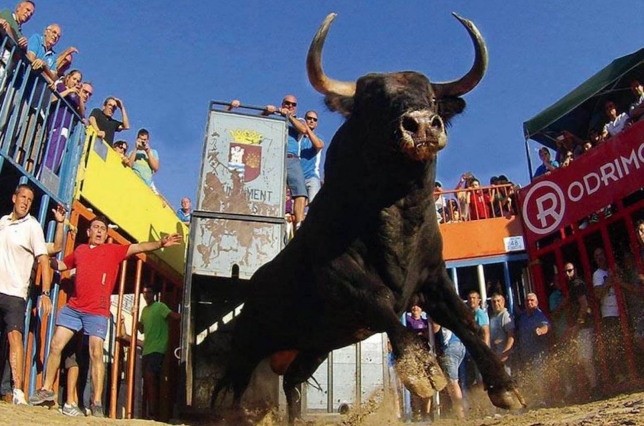 Bous al carrer