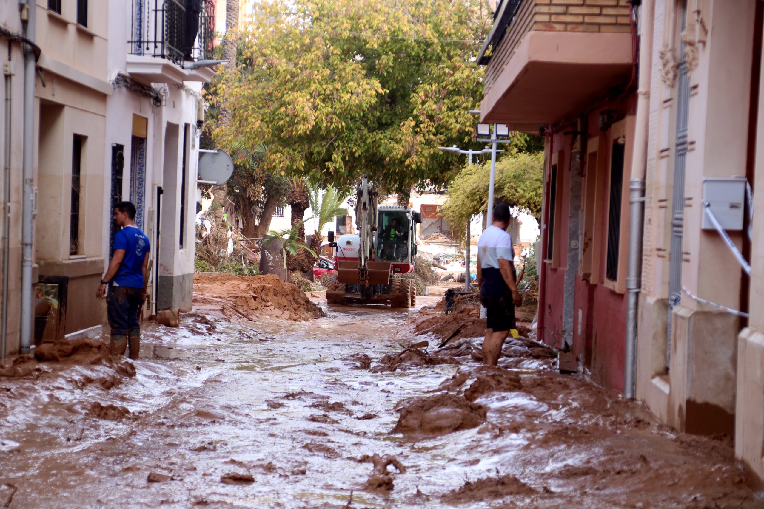 Veïns de Picanya netejant un dels carrers del municipi
| Mar Rovira | Arnau Martínez | ACN