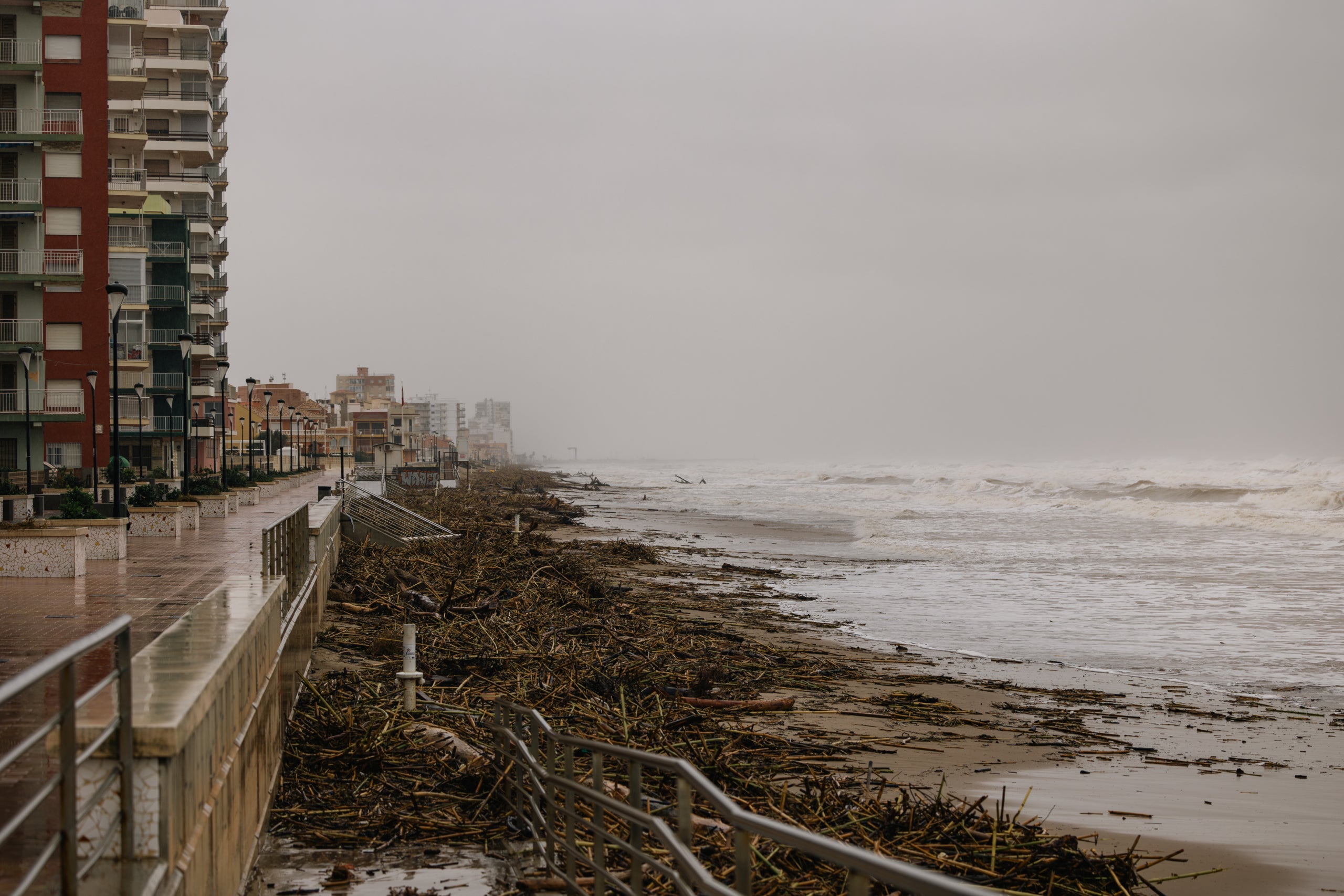 Platja després de la dana del 29 d'octubre del 2024  | Lluís Martí