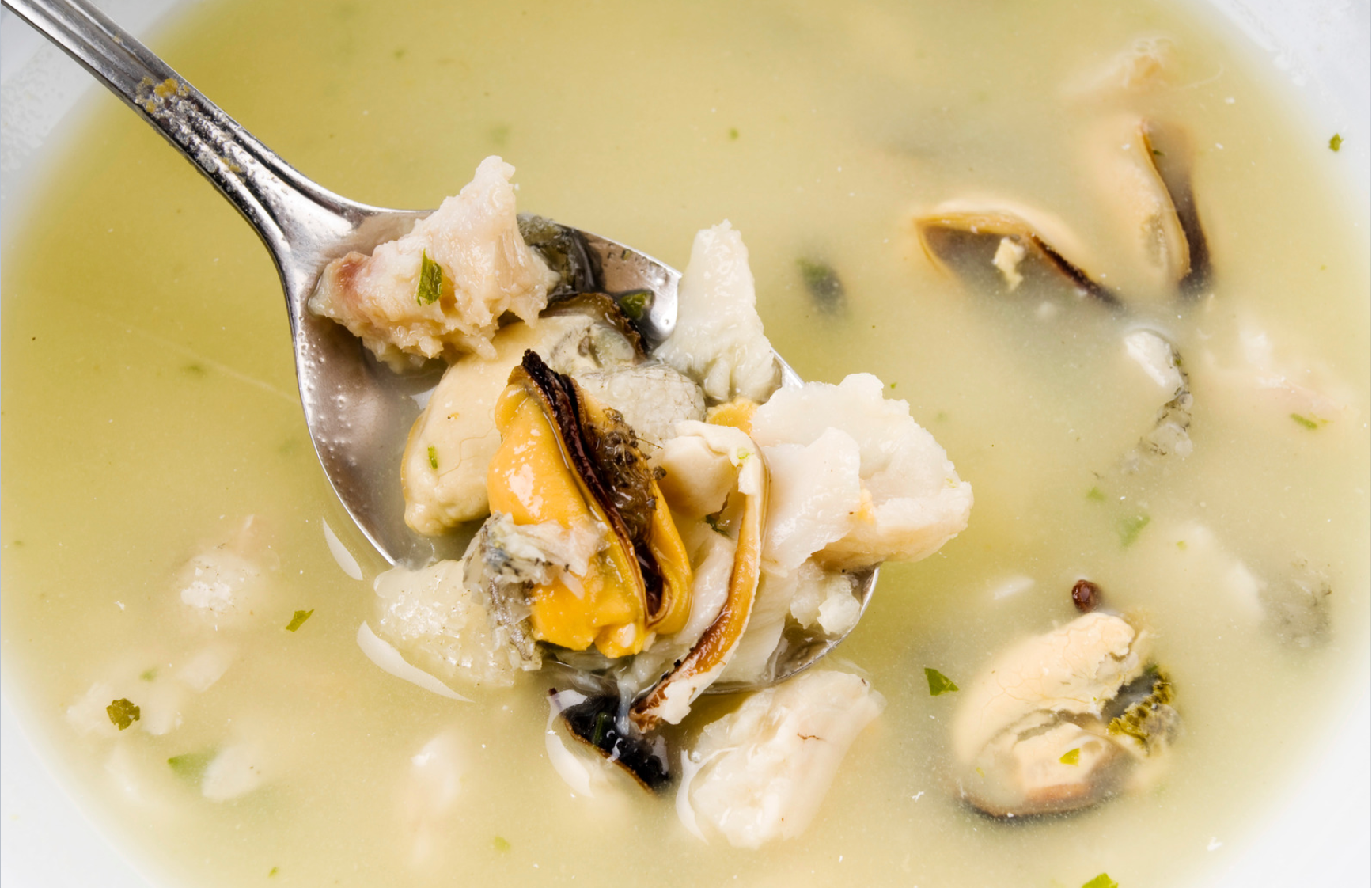 Sopa de musclos