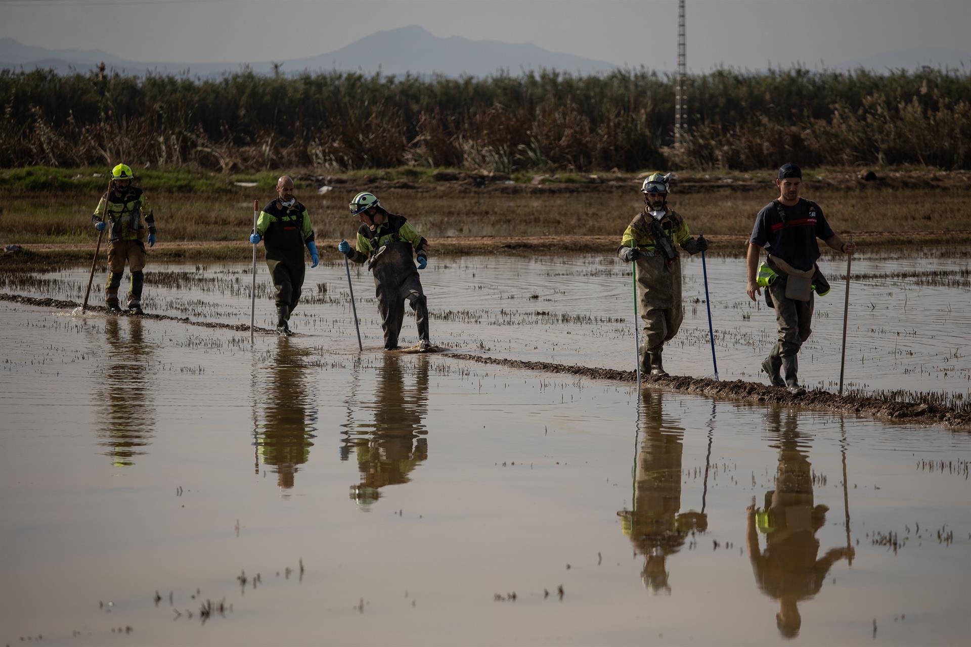Bombers cerquen víctimes mortals a l'Albufera | Alejandro Martínez | EP