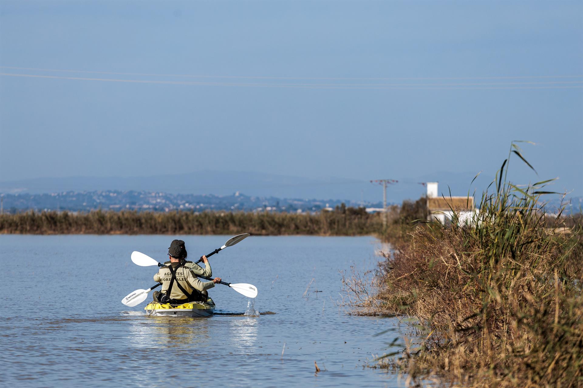 Un equip de cerca de víctimes a l'Albufera | Carlos Luján | EP