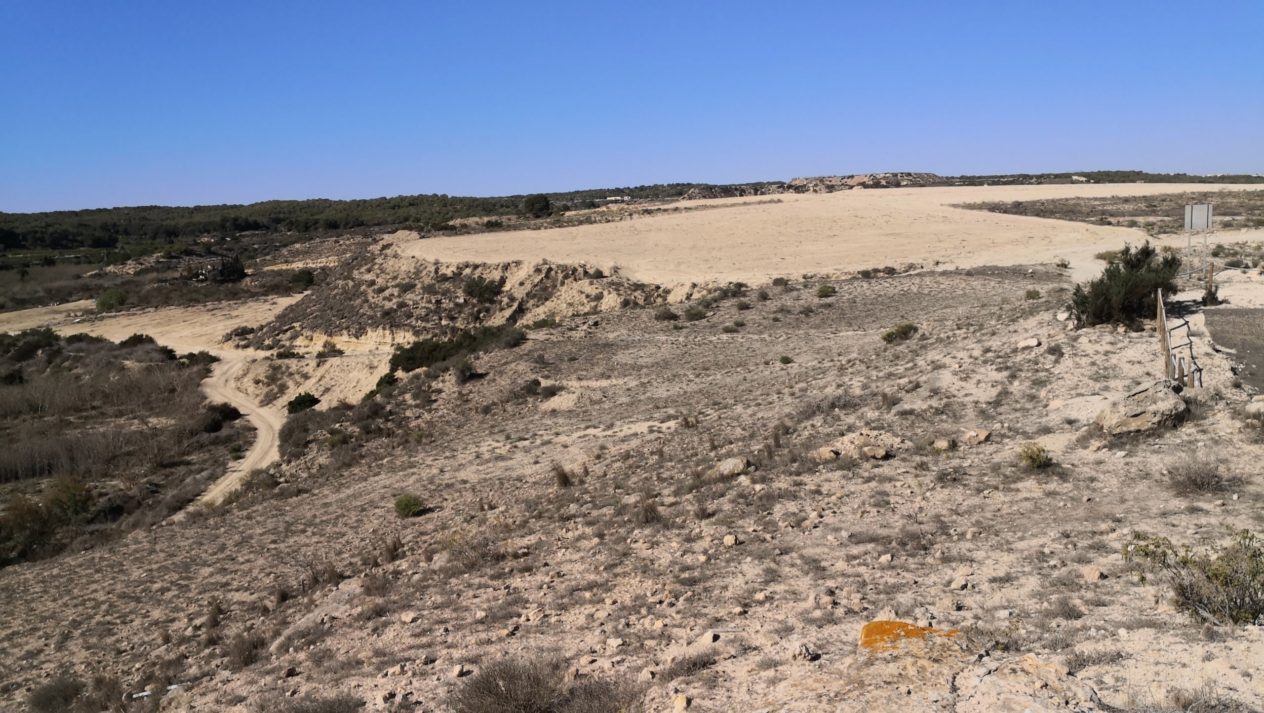 La zona en la qual es projecta la urbanització a Guardamar del Segura (Baix Segura)
