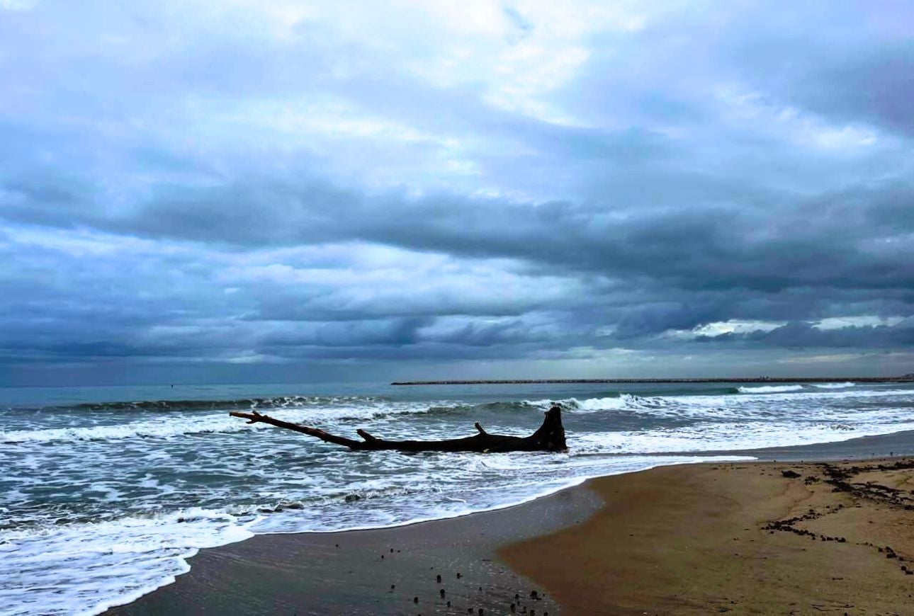 Platja de les Deveses Dénia. La Marina Alta - Moisés Vizcaino 