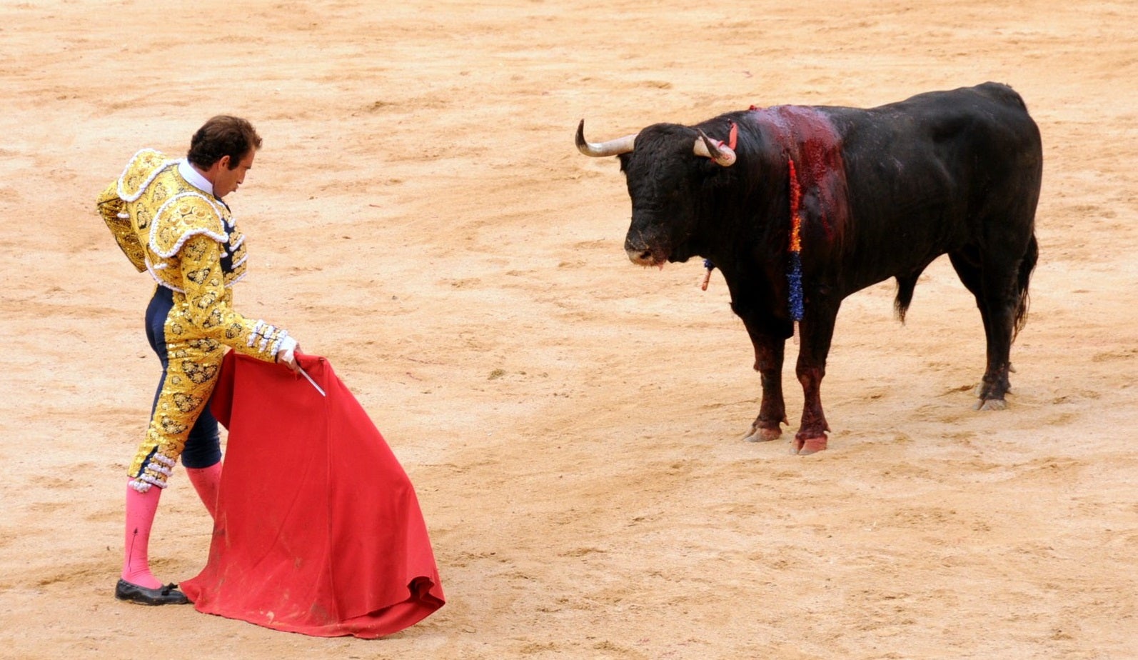 Correguda de bous | Rlasaosa - Flickr