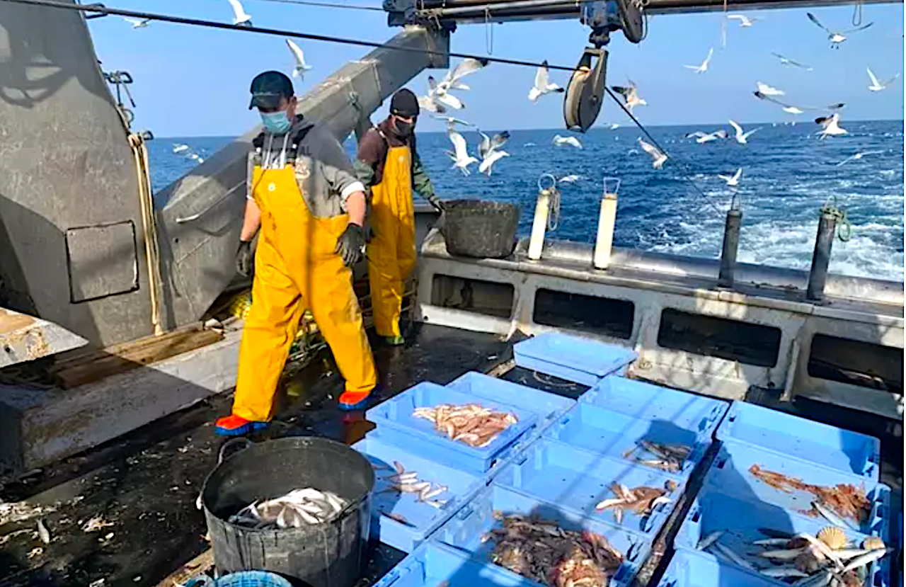 Els pescadors rebutjaven la retallada de la Comissió Europea | EP