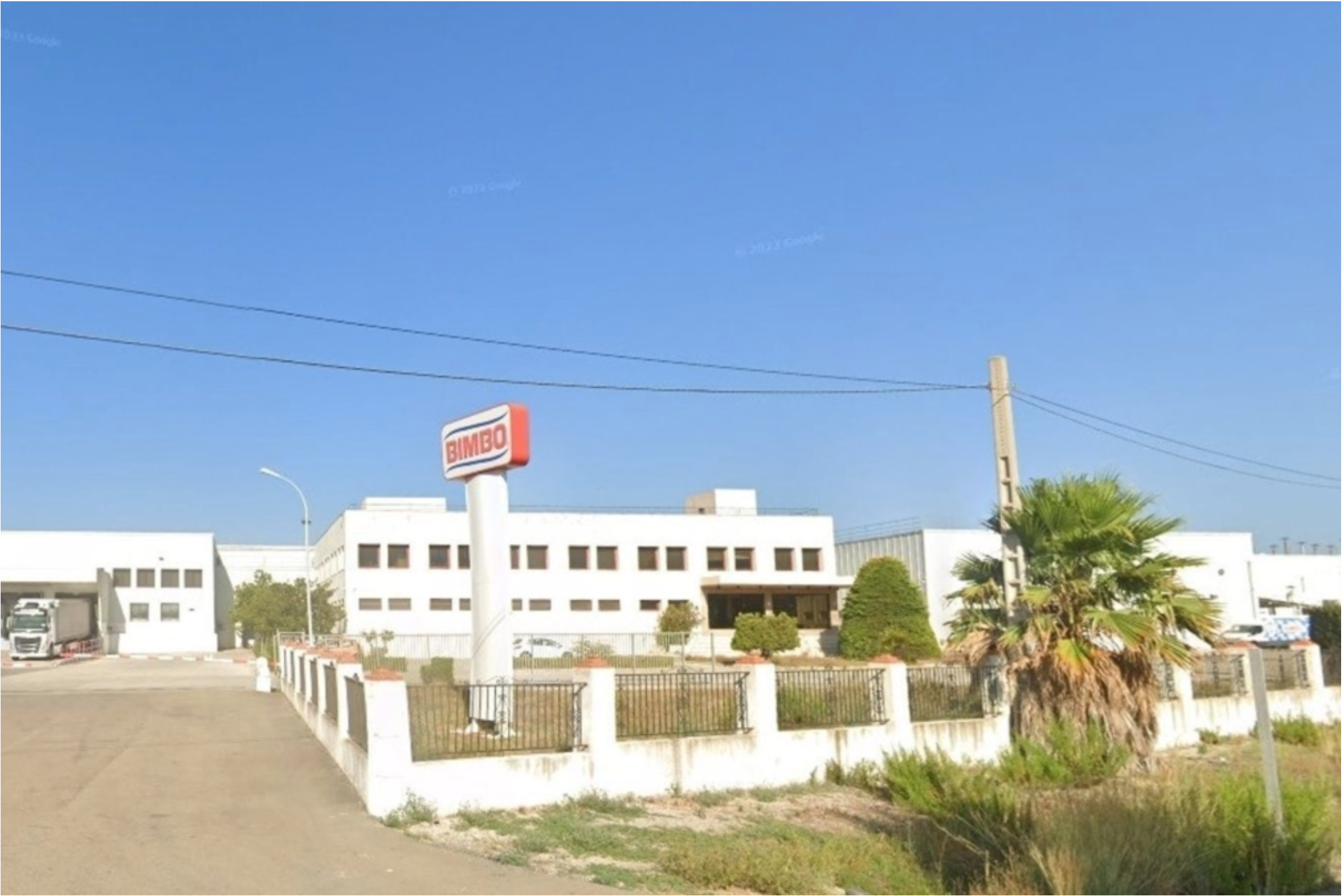 Planta de Bimbo al Verger (Marina Alta)