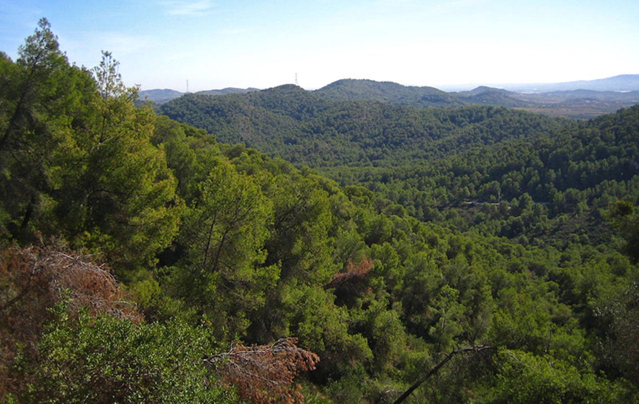 Les Rodanes de Vilamarxant (el Camp de Túria) | Wikimedia Commons