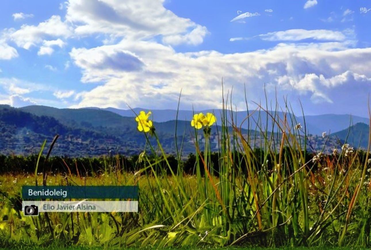 Benidoleig - Elio Javier Alsina