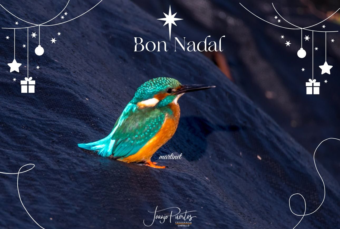 Martinet - Bon Nadal - Joanjo Puertos