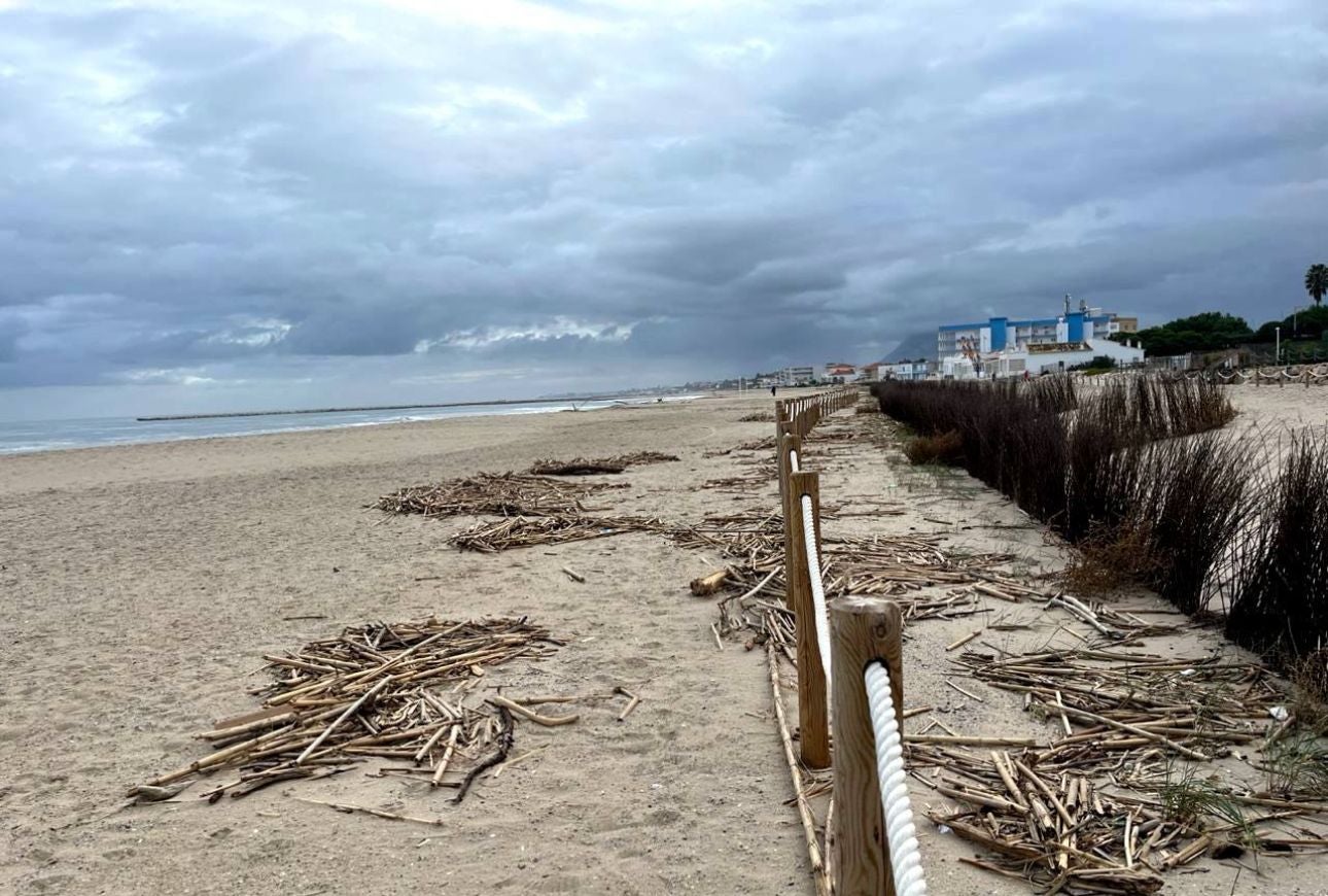 Platja de les Deveses Dénia. La Marina Alta - Moisés Vizcaino 