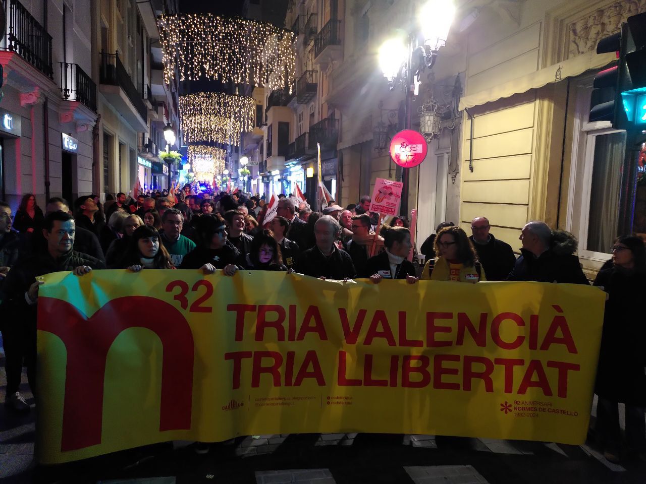 Manifestació a Castelló de la Plana el 14 de desembre de 2024 / David Casanova