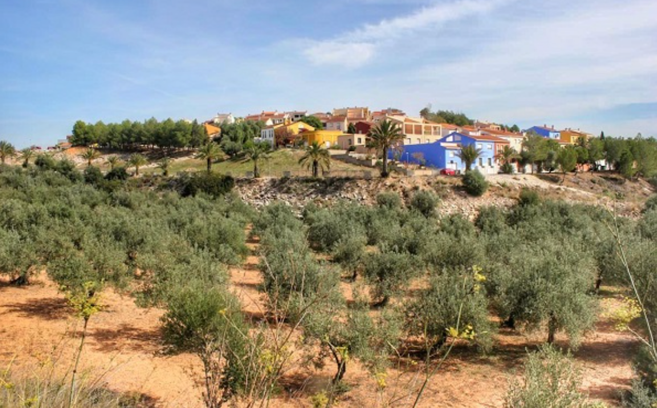 Gavarda, a la Ribera Alta | DLV